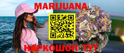 гидра Тулун